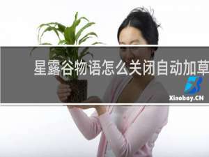 星露谷物语怎么关闭自动加草