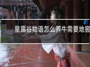 星露谷物语怎么养牛需要地窖