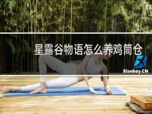 星露谷物语怎么养鸡筒仓