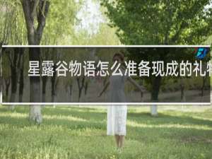 星露谷物语怎么准备现成的礼物
