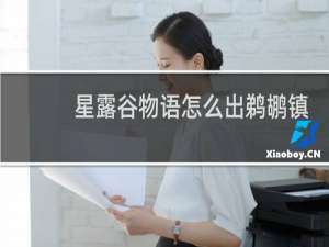 星露谷物语怎么出鹈鹕镇