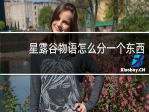 星露谷物语怎么分一个东西
