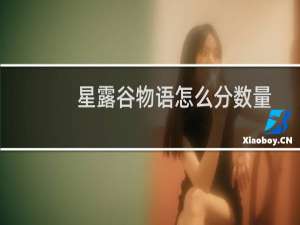 星露谷物语怎么分数量