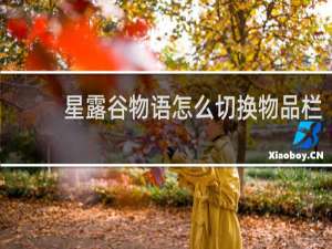 星露谷物语怎么切换物品栏