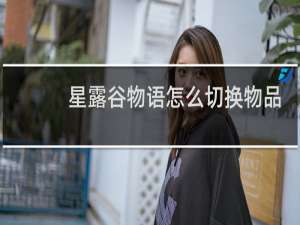 星露谷物语怎么切换物品