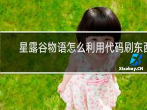 星露谷物语怎么利用代码刷东西