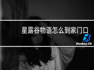 星露谷物语怎么到家门口