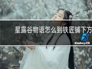 星露谷物语怎么到铁匠铺下方