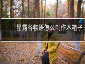 星露谷物语怎么制作木箱子