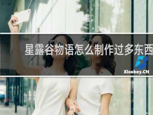 星露谷物语怎么制作过多东西
