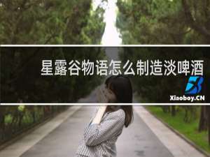 星露谷物语怎么制造淡啤酒