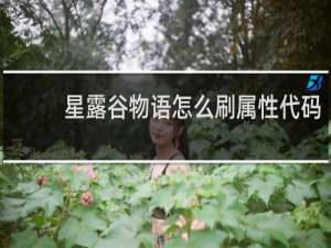 星露谷物语怎么刷属性代码