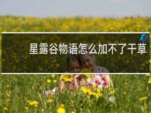星露谷物语怎么加不了干草