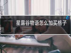 星露谷物语怎么加买格子