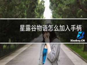 星露谷物语怎么加入手柄