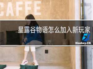 星露谷物语怎么加入新玩家