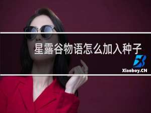 星露谷物语怎么加入种子