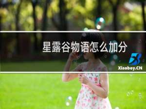 星露谷物语怎么加分