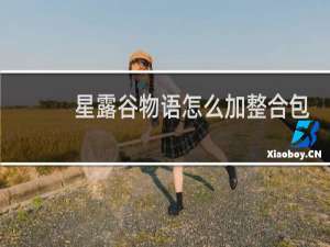 星露谷物语怎么加整合包