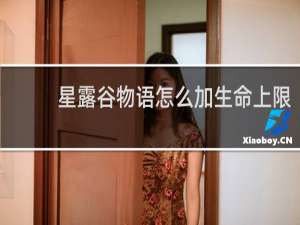 星露谷物语怎么加生命上限