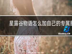 星露谷物语怎么加自己的专属服