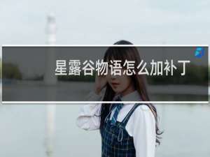 星露谷物语怎么加补丁