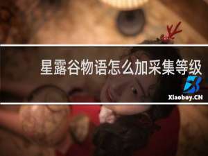 星露谷物语怎么加采集等级