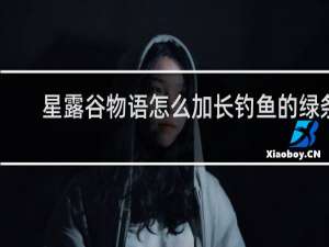 星露谷物语怎么加长钓鱼的绿条