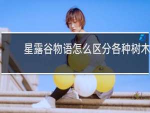 星露谷物语怎么区分各种树木