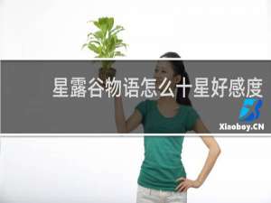 星露谷物语怎么十星好感度