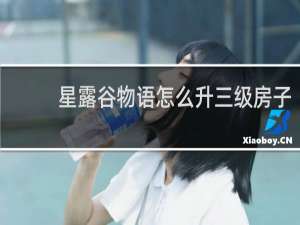 星露谷物语怎么升三级房子