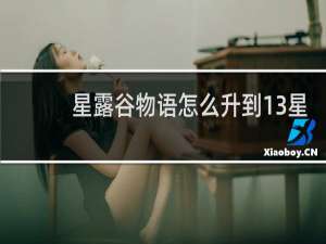 星露谷物语怎么升到13星
