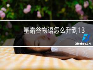 星露谷物语怎么升到13