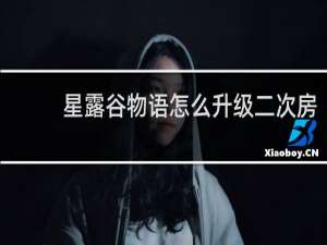 星露谷物语怎么升级二次房