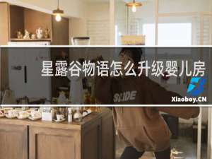 星露谷物语怎么升级婴儿房
