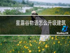 星露谷物语怎么升级建筑