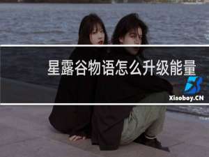 星露谷物语怎么升级能量