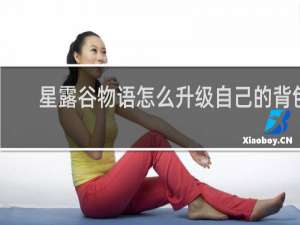 星露谷物语怎么升级自己的背包