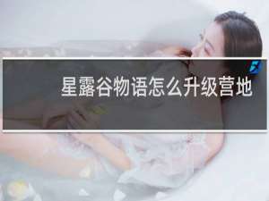 星露谷物语怎么升级营地