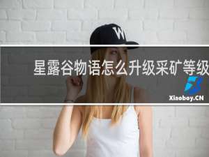 星露谷物语怎么升级采矿等级
