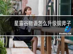 星露谷物语怎么升级铜斧子