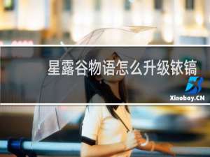 星露谷物语怎么升级铱镐