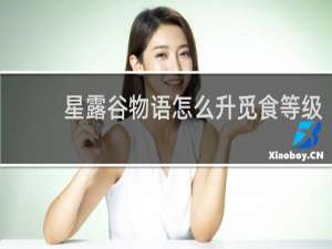 星露谷物语怎么升觅食等级