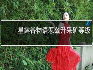 星露谷物语怎么升采矿等级