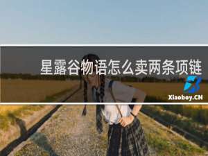星露谷物语怎么卖两条项链