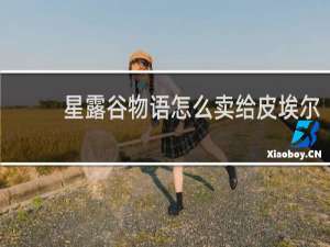 星露谷物语怎么卖给皮埃尔