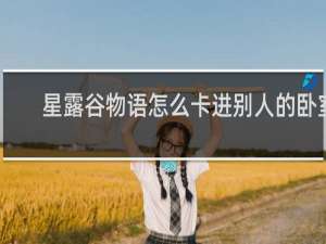 星露谷物语怎么卡进别人的卧室