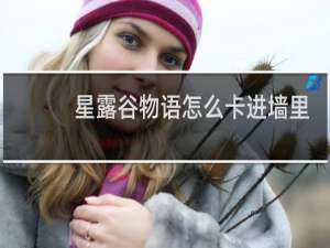 星露谷物语怎么卡进墙里