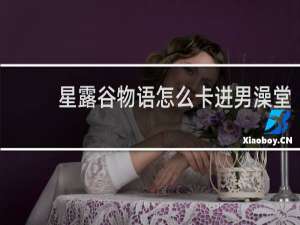 星露谷物语怎么卡进男澡堂