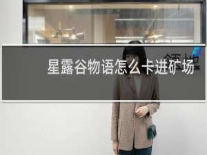 星露谷物语怎么卡进矿场